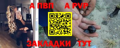 стаф Канаш